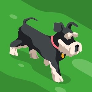 Meet your Posher, Sonja